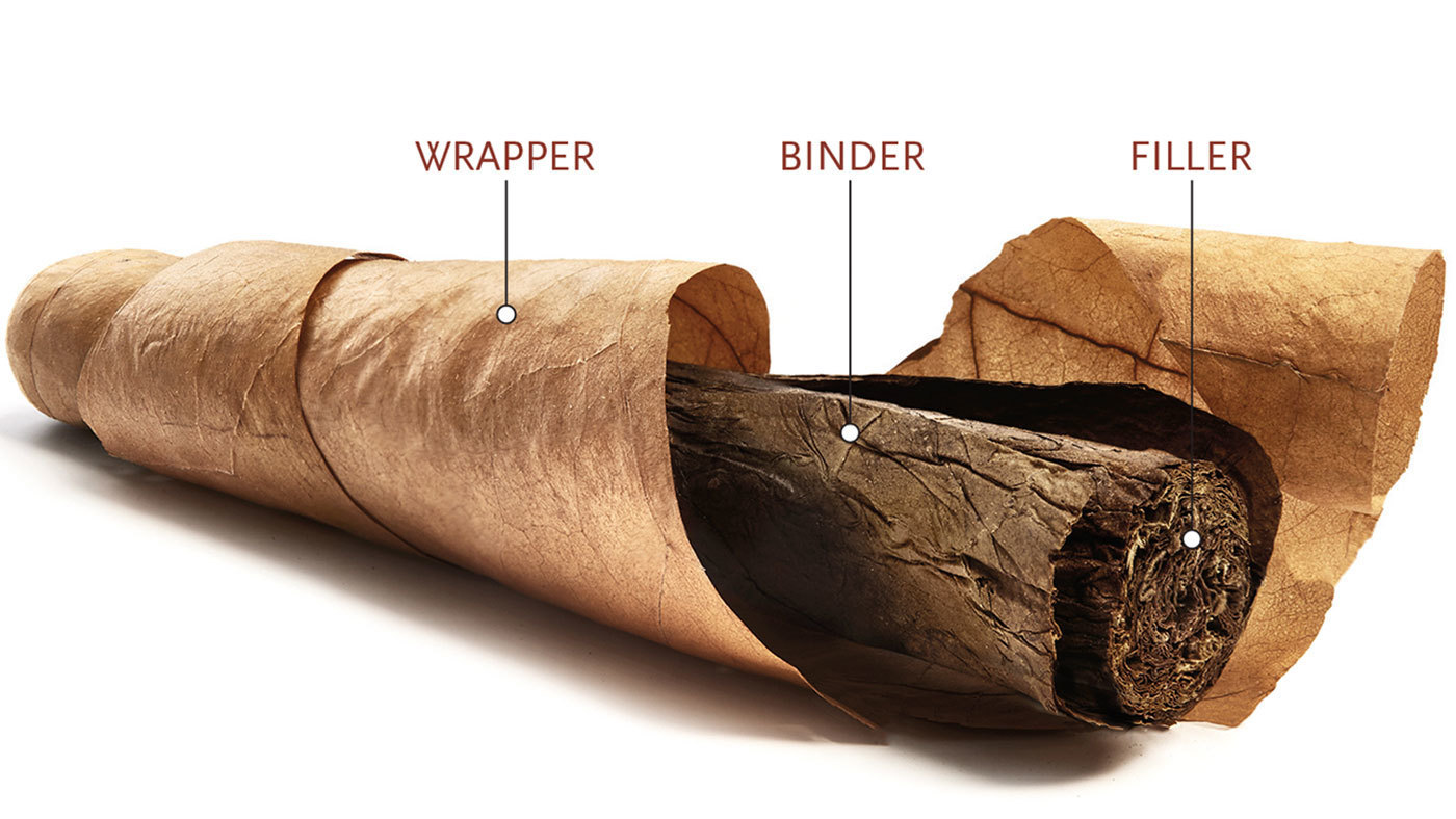 Anatomy Of The Cigar - Preferred Magazine