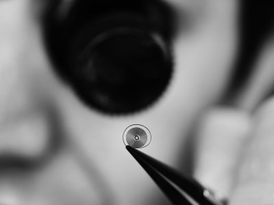 Web 2000px-CARBON_HAIRSPRING_LAB_013_FULLFRAME Web 2000px-CARBON_HAIRSPRING_LAB_013_FULLFRAME