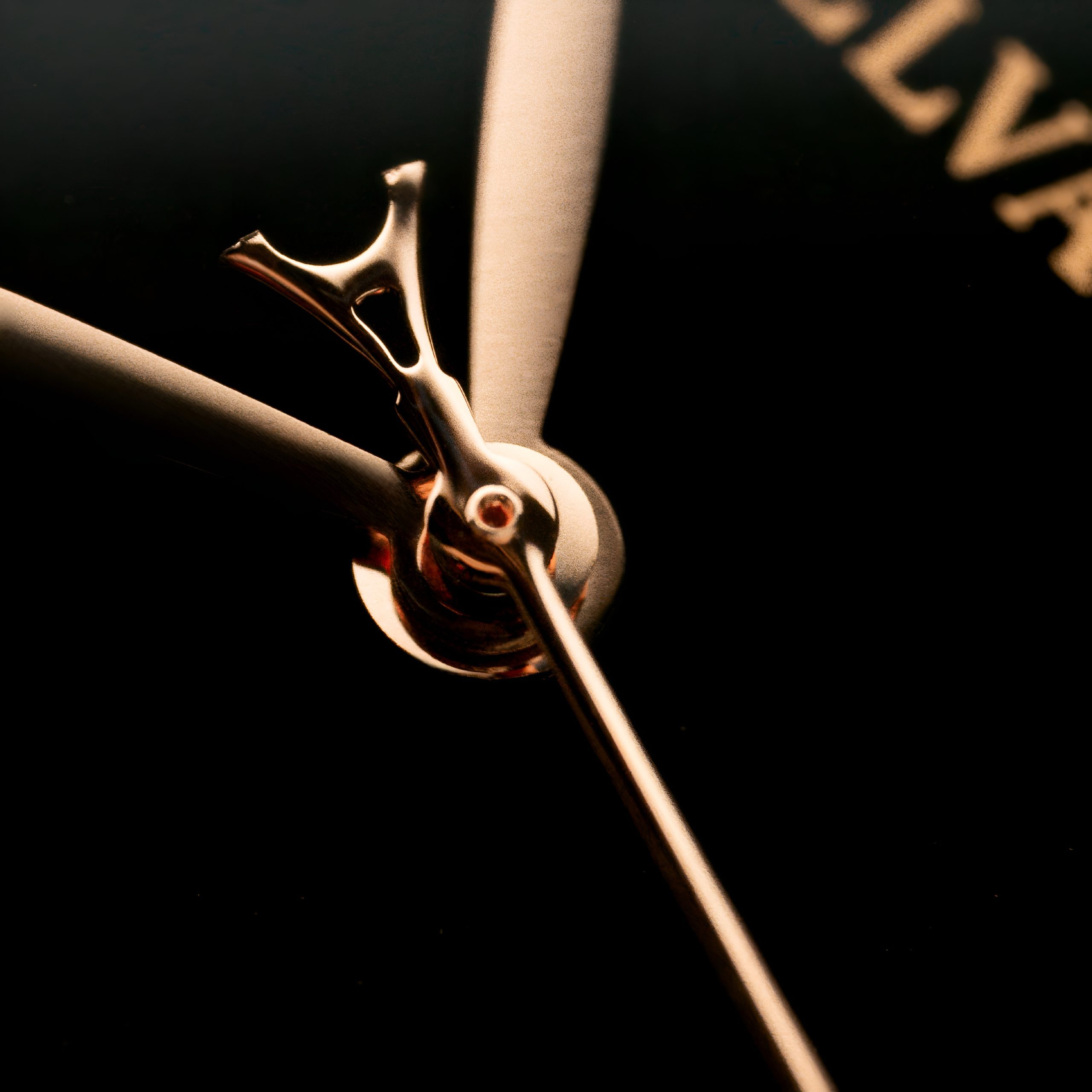 5F8B077C-47BA-4625-B655-E85341677E60